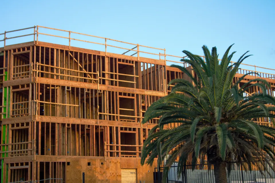 Wood-frame building under construction with robust palm tree in front